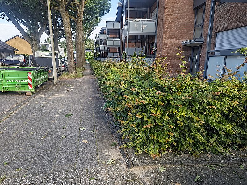 PXL_20240613_061545045