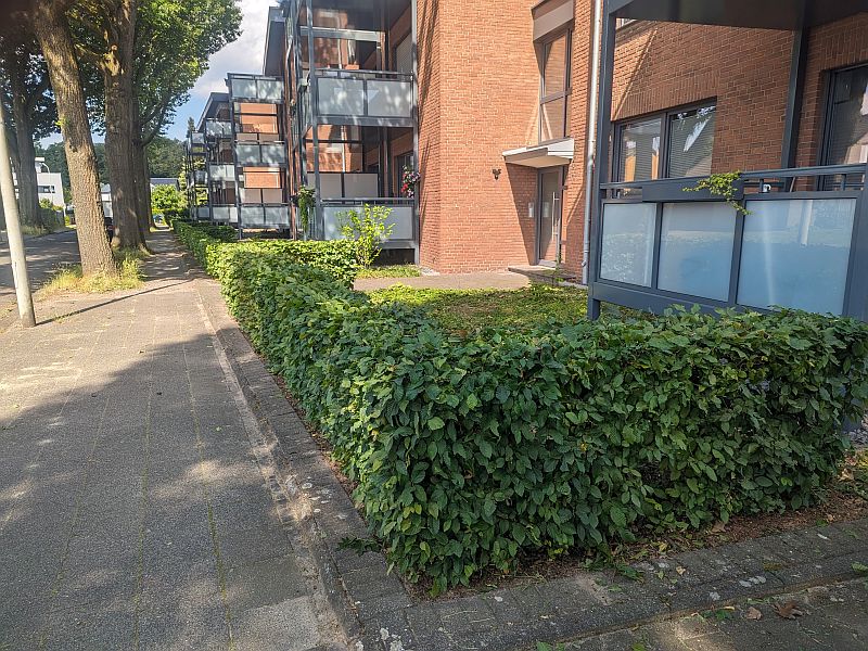 PXL_20240613_085514134