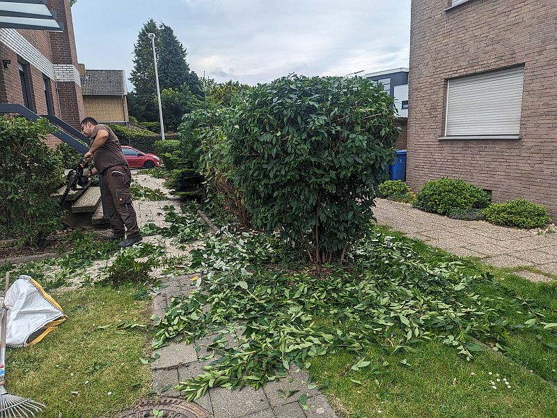 PXL_20240617_093635559