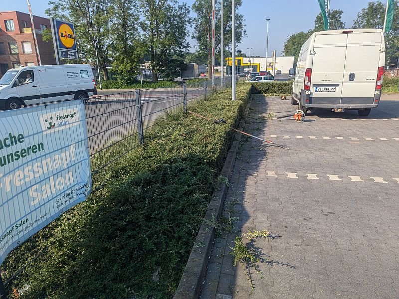 PXL_20240627_065800519.MP