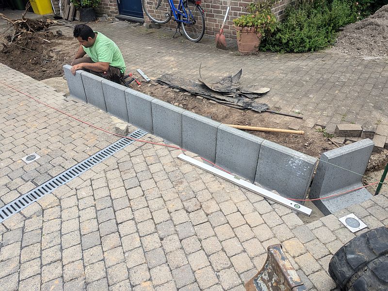 PXL_20240725_103142879.MP