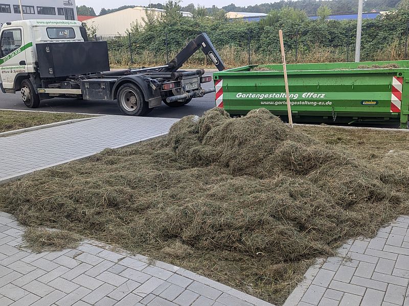 PXL_20240820_054439816