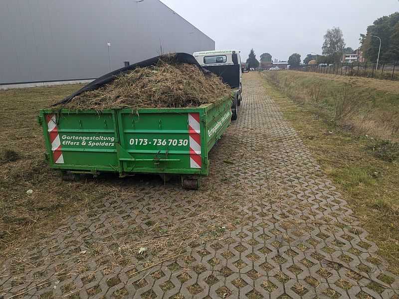 PXL_20240925_102959364