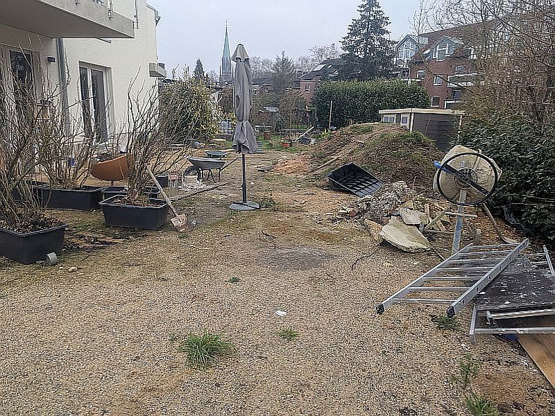 PXL_20250204_093521201