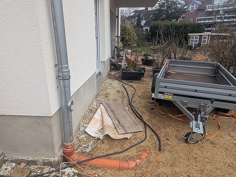 PXL_20250204_093534621