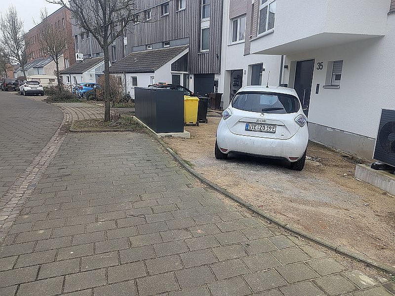 PXL_20250204_093553368