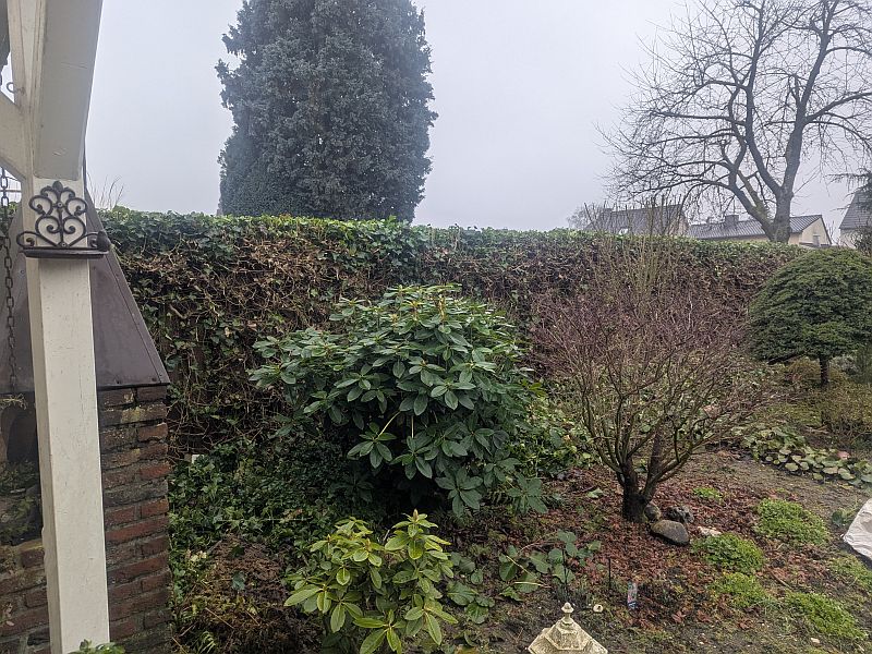 PXL_20250206_094031470