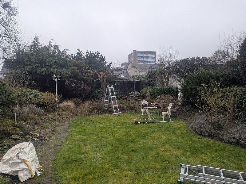 PXL_20250206_094035378