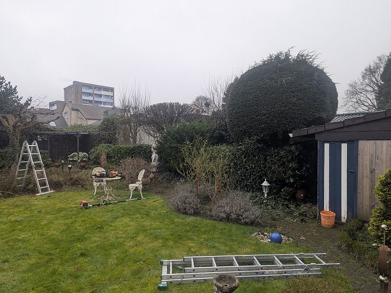 PXL_20250206_094038378