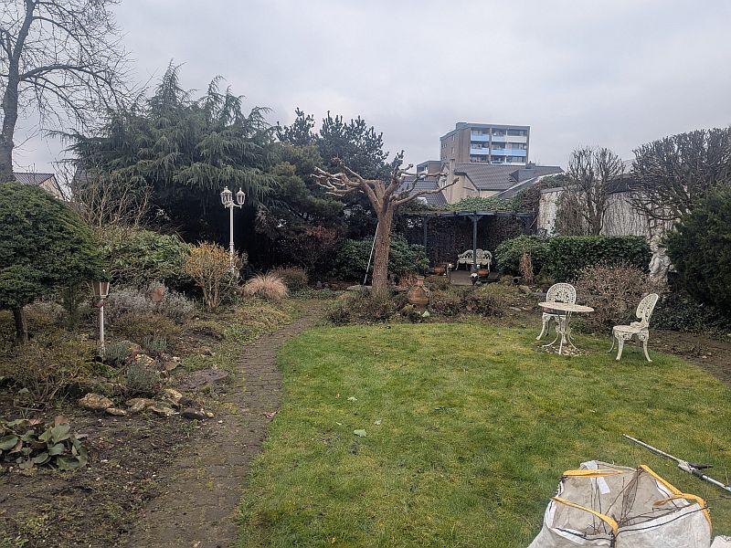 PXL_20250206_123655382