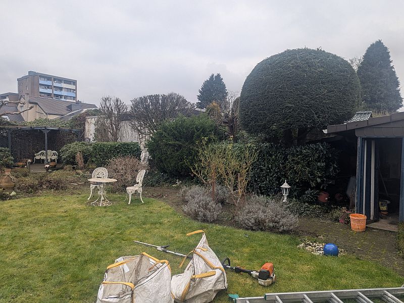 PXL_20250206_123659574