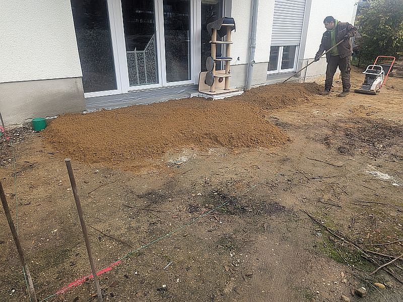 PXL_20250226_083432865