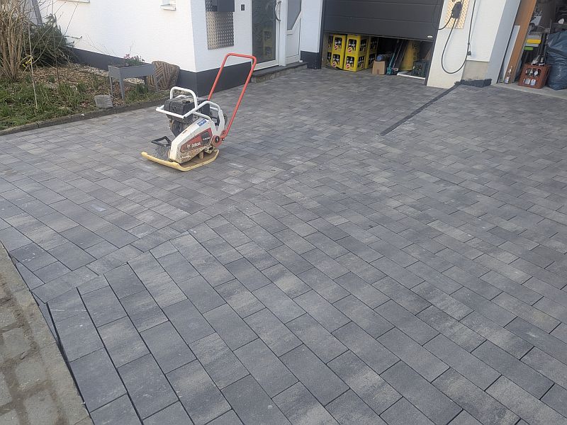 PXL_20250320_110235929