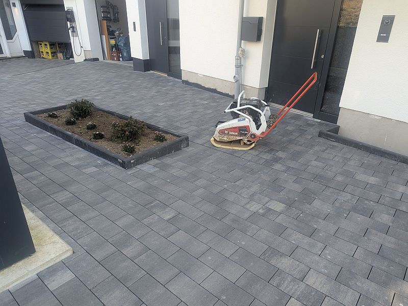 PXL_20250320_113949170