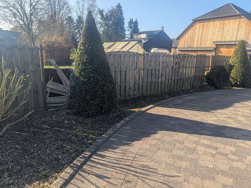 PXL_20250328_080122275