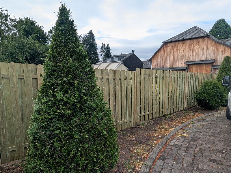 PXL_20250708_075027796