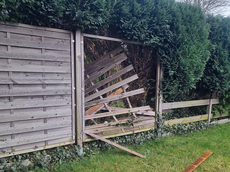 Zwischenablage_12-15-2025_01