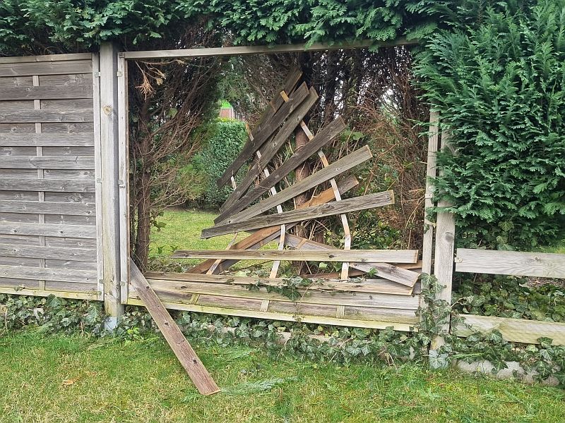 Zwischenablage_12-15-2025_02