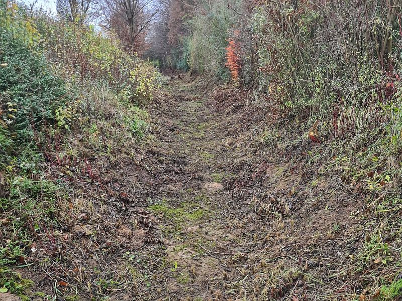 Zwischenablage_12-16-2025_01