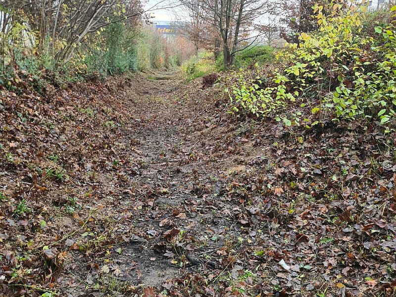 Zwischenablage_12-16-2025_02