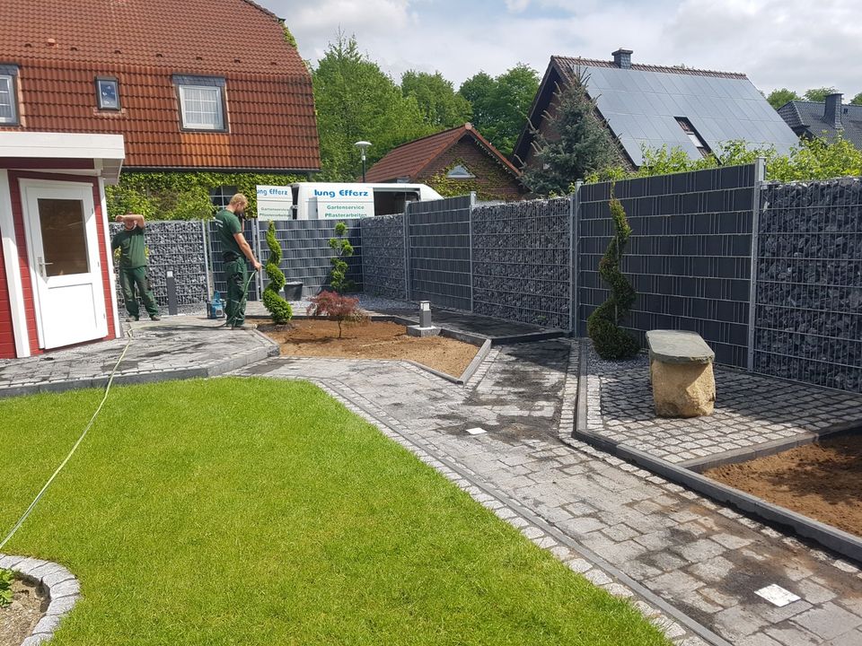 c5858965-0811-492a-b9af-dcfec4b83d31