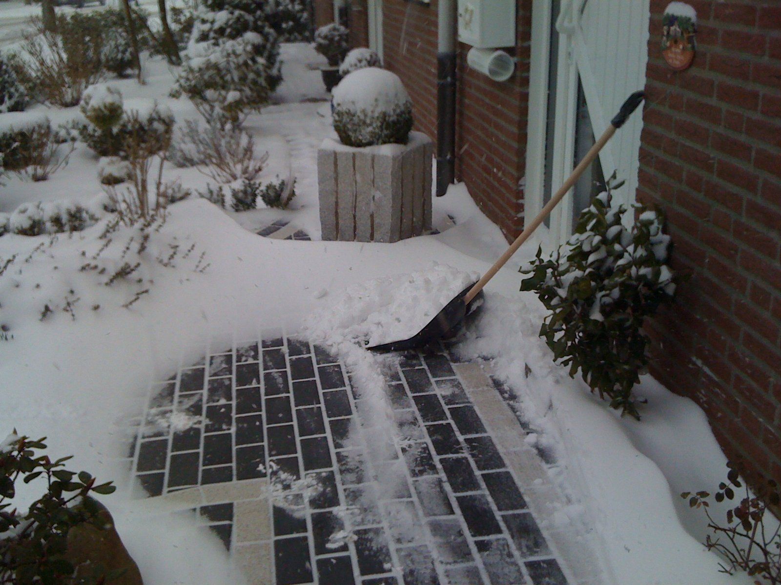 a86072e9-081d-41a5-a2d6-ac61d25e17b6